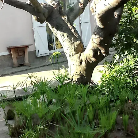 Διαμέρισμα Confortable A Avec Terrasse